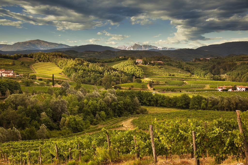 Colli Orientali del Friuli panorama