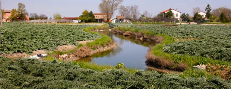 Sant' Erasmo countryside